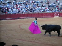 corrida07.jpg