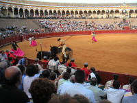 corrida09.jpg
